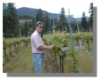 Larry Giannou gathers vines for microscope pictures.