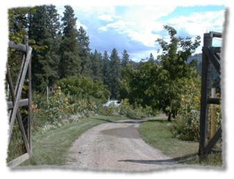 Entrance to Chinabend Vineyard Estate