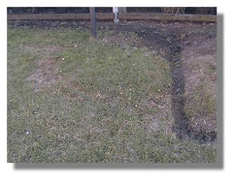 Fairy Ring 09-29-98