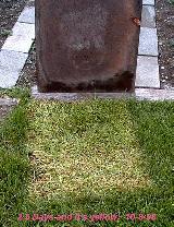 GrassCov_01_10-8-98th.JPG (13430 bytes)