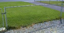 Grass_02th.JPG (9914 bytes)