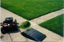 Grass_05th.JPG (10730 bytes)