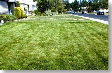 T & J Enterprises home lawn