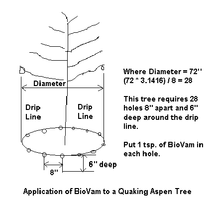 BioVam protocol for quaking aspen.
