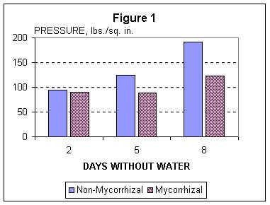 USGA - FIGURE1