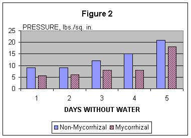 USGA - FIGURE2