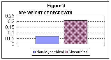 USGA - FIGURE 3