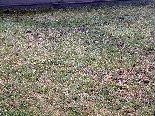 Worms_11-20-98_02th.JPG (17007 bytes)