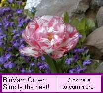 BioVam Grown flowers