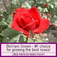 BioVam - Used by growers around the world.