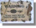 The "Mouse and Rat Elimination Kit" also catches spiders and other bugs!